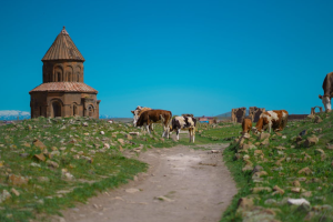 Kars tours