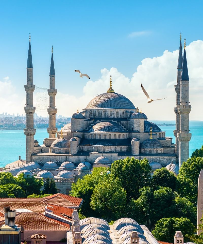 Daily Istanbul Tour