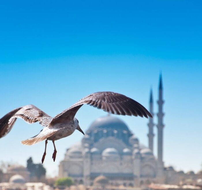 Istanbul’s Popular Destinations