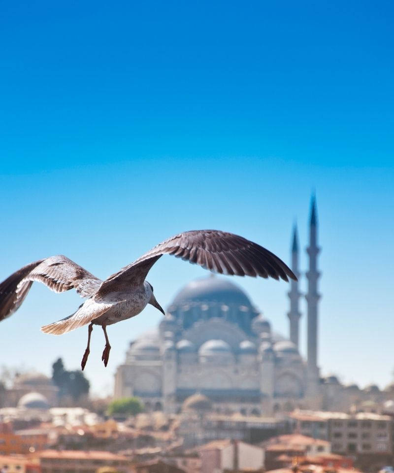 Istanbul’s Popular Destinations