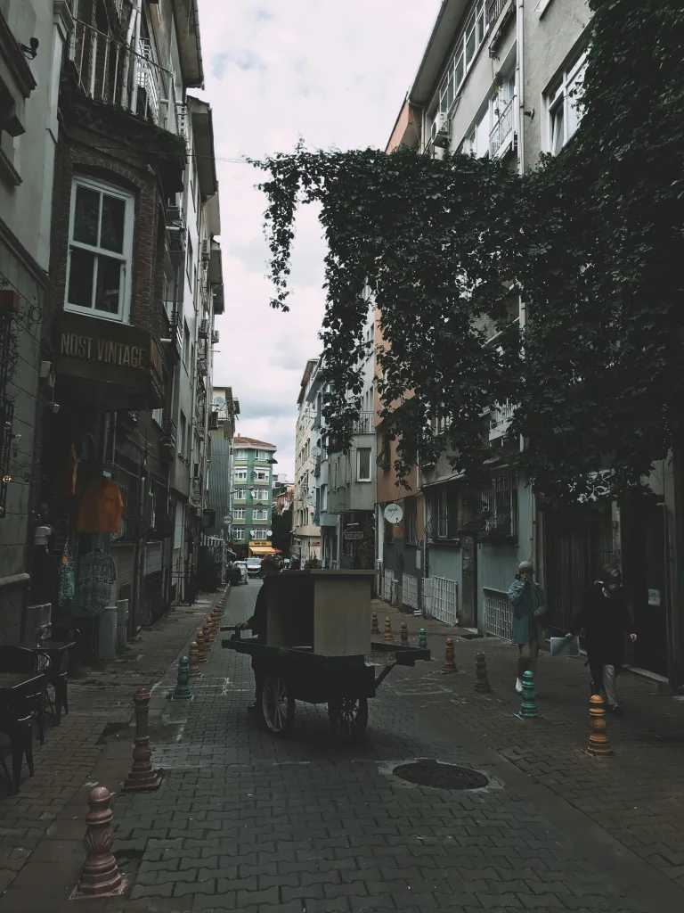 pexels humanistagram 8259293