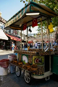 pexels bulent ozgoc 3798228 33629763