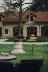 pexels maria loznevaya 249159277 14534332