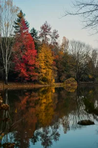 pexels mutecevvil 7493977