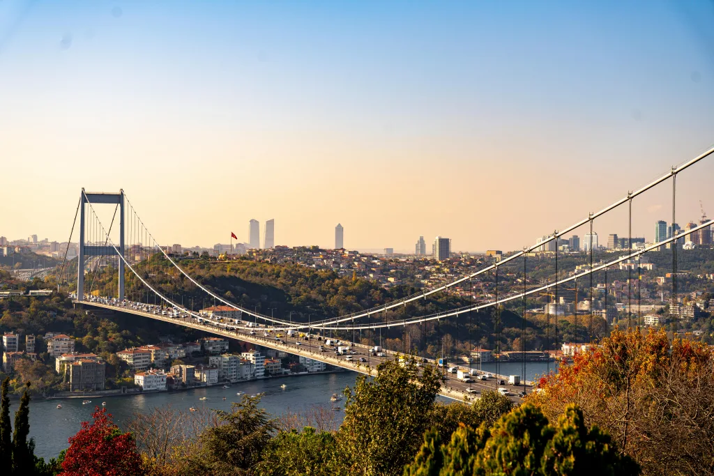 pexels yasirgurbuz 11087993