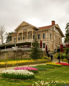 pexels yasirgurbuz 16577140